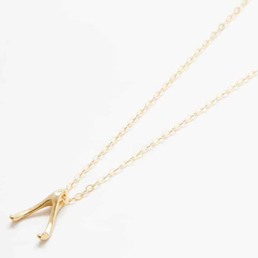 Gold Wishbone Necklace - Admiral Row