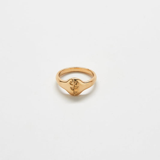 Gold Rose Signet Ring - Admiral Row